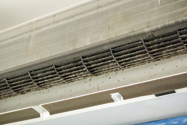 Best Air Duct Cleaning Near Me  in Woodbine, IA