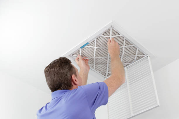 Best Local Air Duct Cleaning Services  in Woodbine, IA